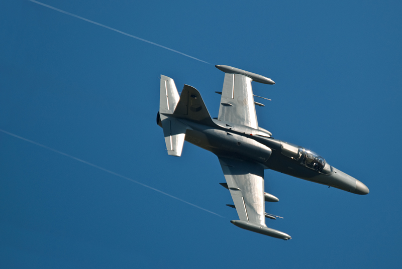 005_Radom_Air Show_Aero L-159A Alca.jpg